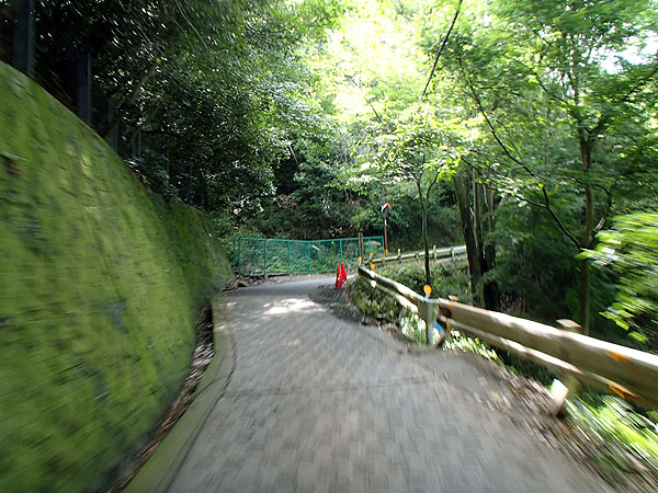 酷道（国道）３０８号線